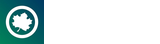 DM BOŚ (bossa)